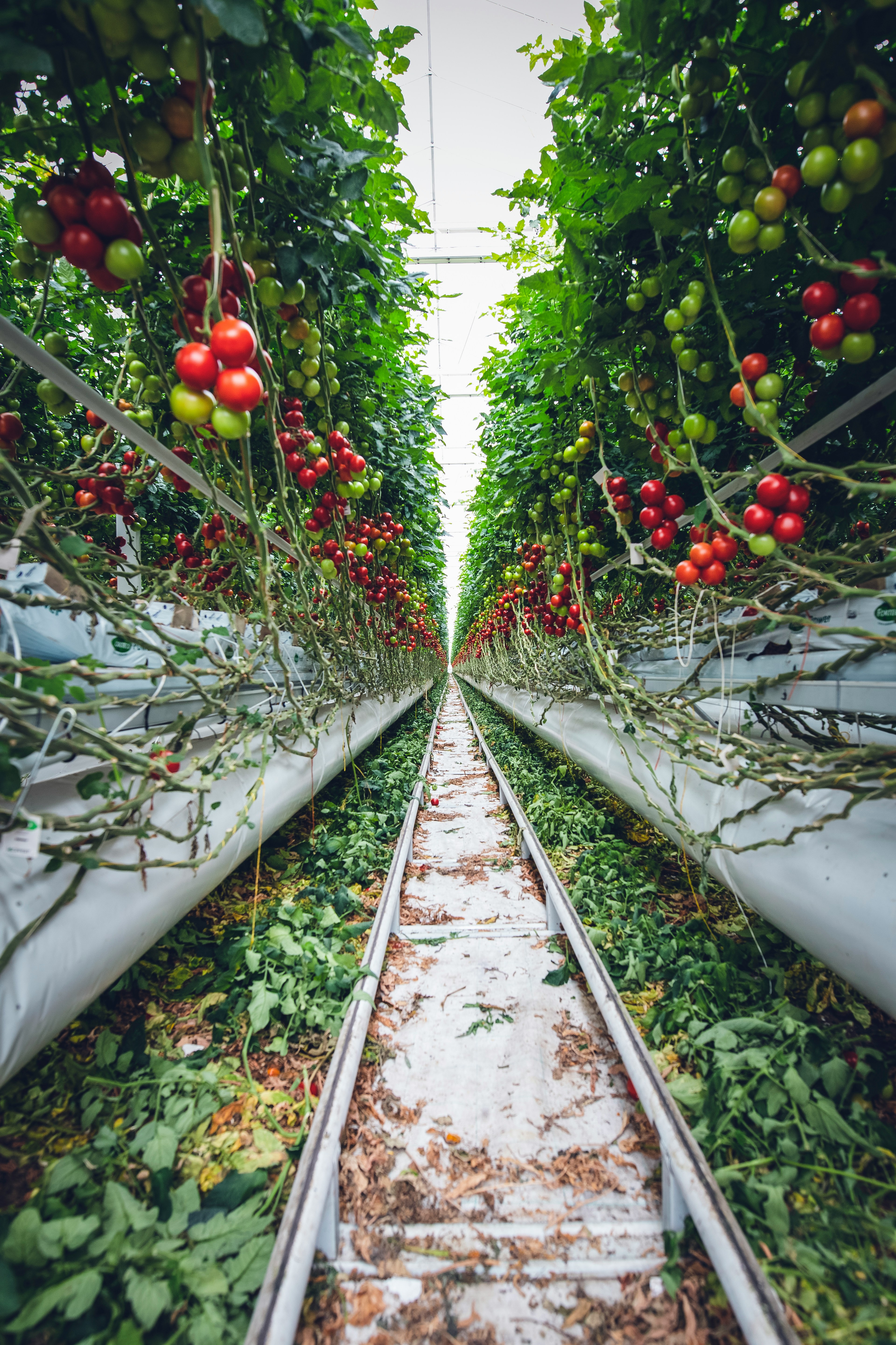 Future agricultural operations
